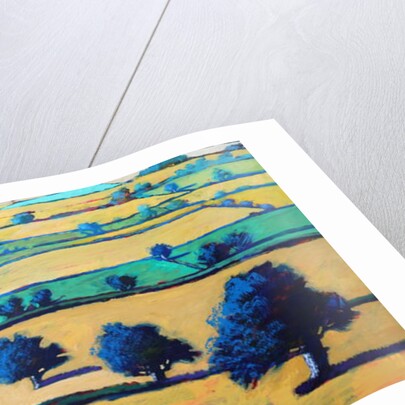 White Cross close up 2 by Paul Powis