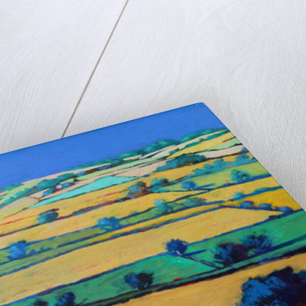 White Cross close up by Paul Powis