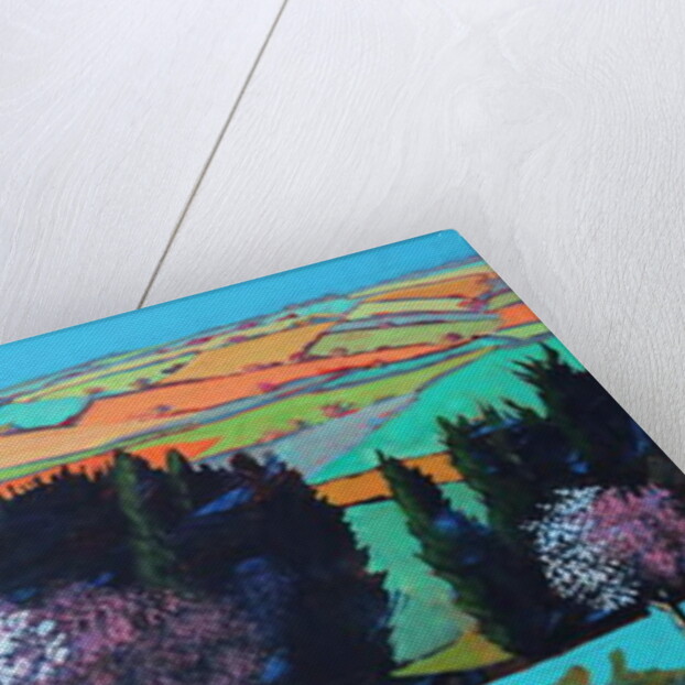 Teme Valley blossom by Paul Powis