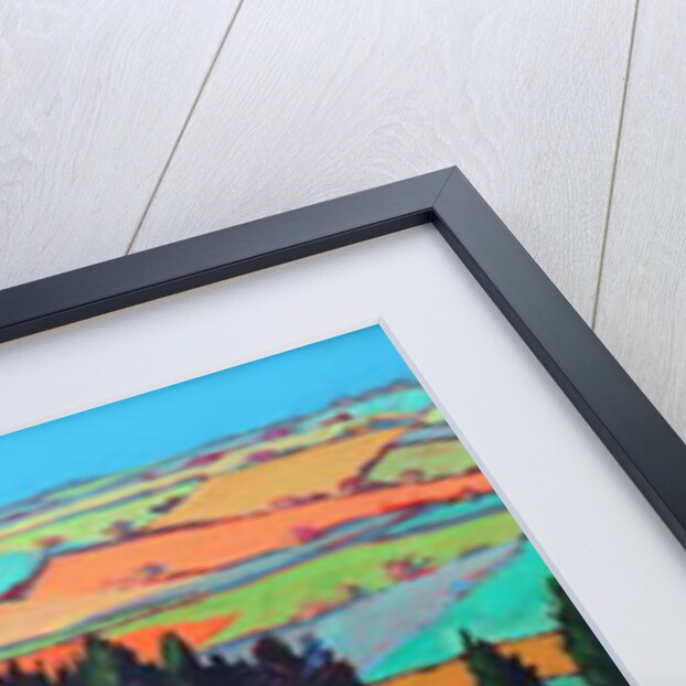 Teme Valley blossom by Paul Powis