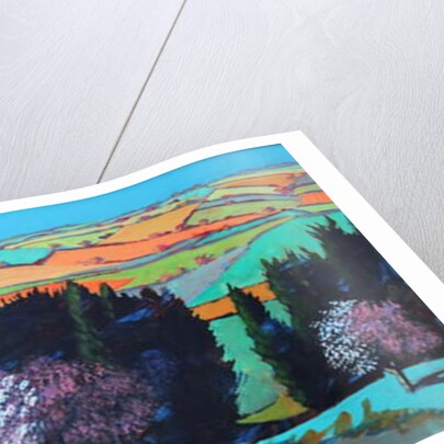 Teme Valley blossom by Paul Powis