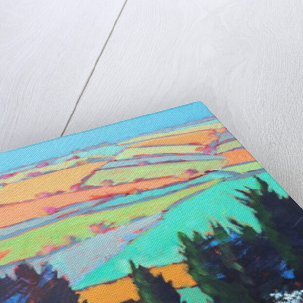 Teme Valley blossom close up by Paul Powis