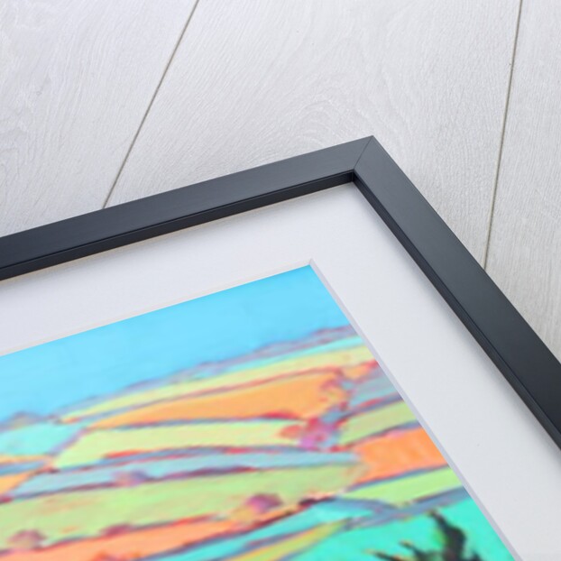 Teme Valley blossom close up by Paul Powis