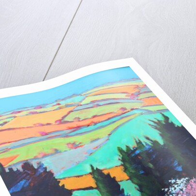 Teme Valley blossom close up by Paul Powis