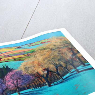 Teme Valley April by Paul Powis