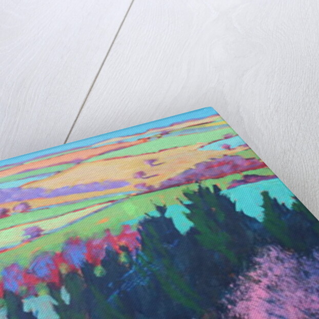 Teme Valley April close up 1 by Paul Powis