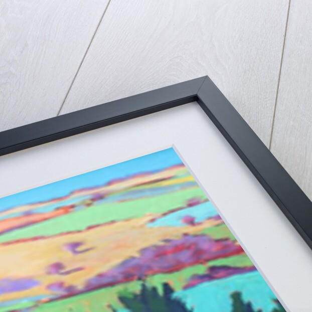 Teme Valley April close up 1 by Paul Powis