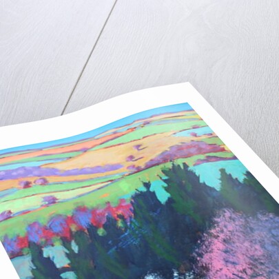 Teme Valley April close up 1 by Paul Powis