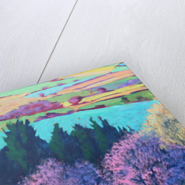 Teme Valley April close up by Paul Powis