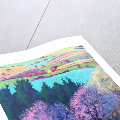 Teme Valley April close up by Paul Powis