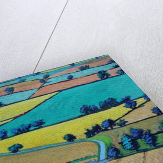 Lane in summer by Paul Powis