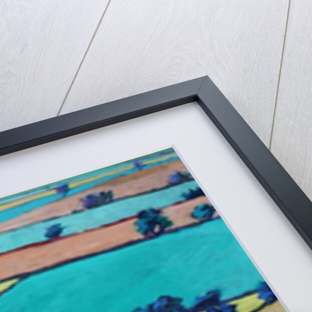 Lane in summer by Paul Powis