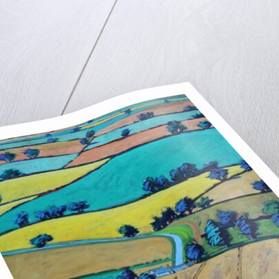 Lane in summer by Paul Powis