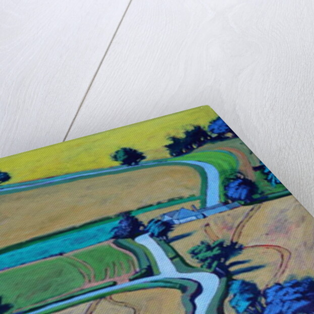 Lane in summer close up by Paul Powis