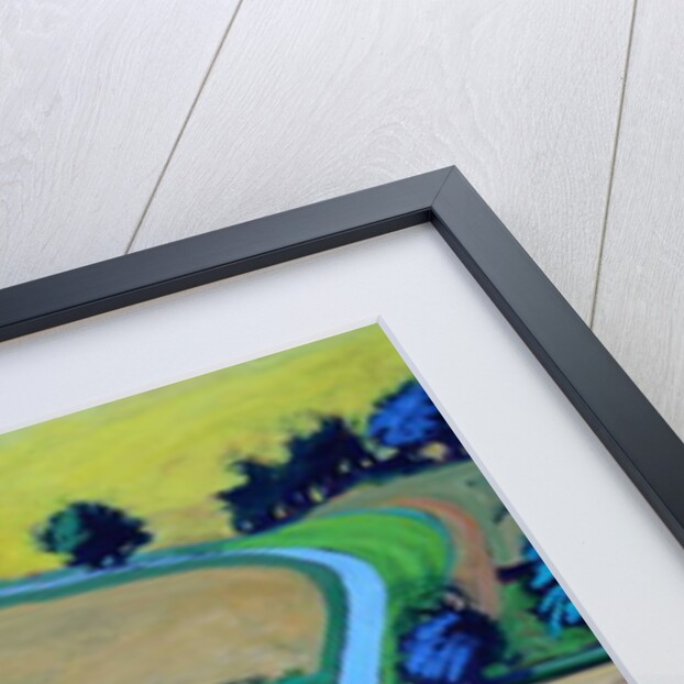 Lane in summer close up by Paul Powis