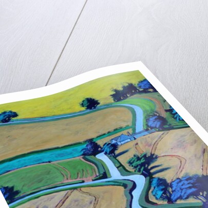 Lane in summer close up by Paul Powis