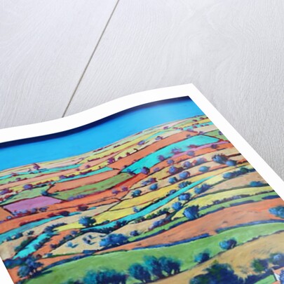 Devon II by Paul Powis