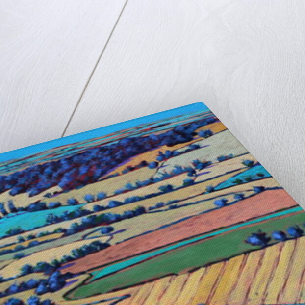 From British Camp by Paul Powis