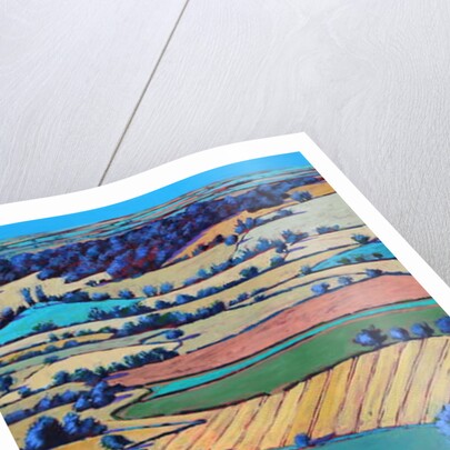 From British Camp by Paul Powis