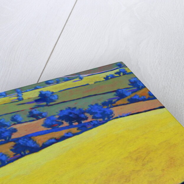 From Ragged Stone close up 2 by Paul Powis