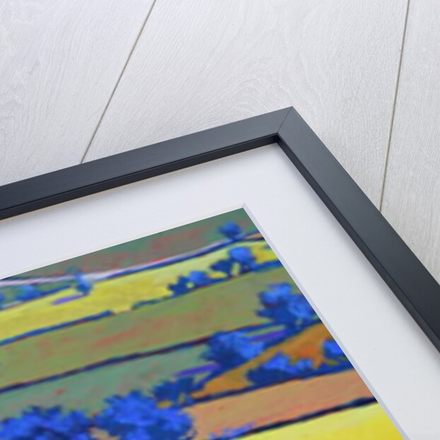 From Ragged Stone close up 2 by Paul Powis