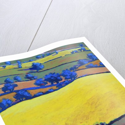 From Ragged Stone close up 2 by Paul Powis