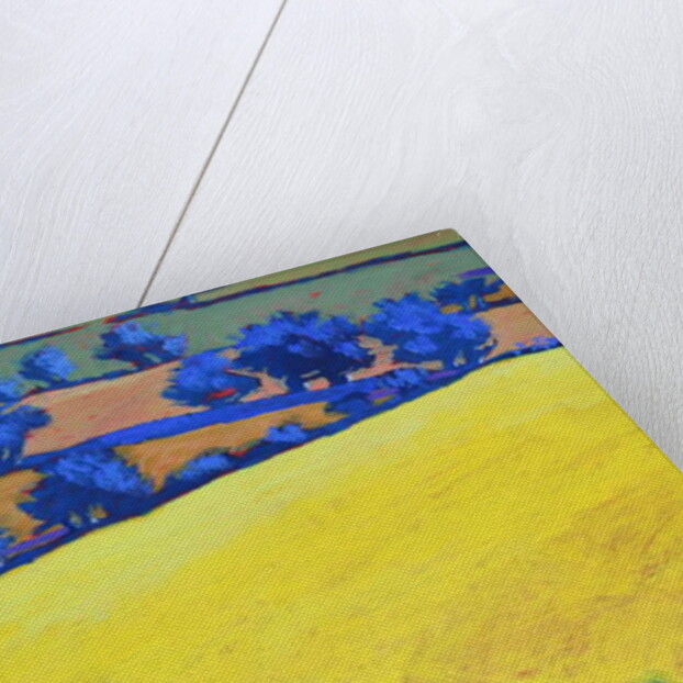 From Ragged Stone close up by Paul Powis