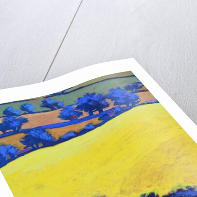 From Ragged Stone close up by Paul Powis