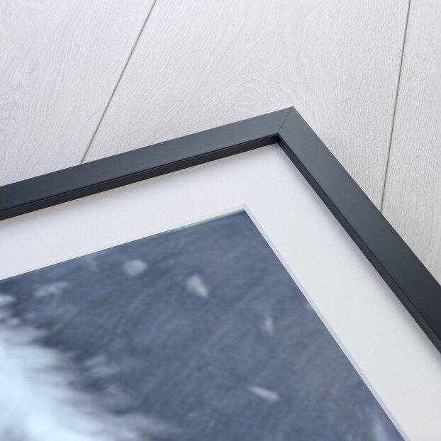 Avenue by Paul Powis