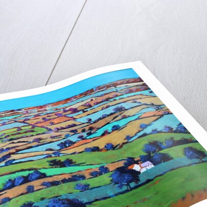 Beacon hill by Paul Powis