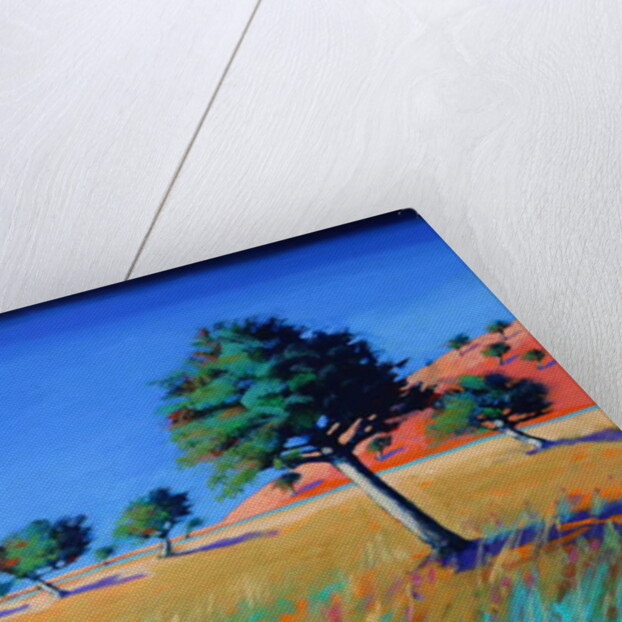 Almond Trees, by Paul Powis