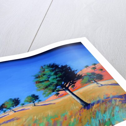 Almond Trees, by Paul Powis