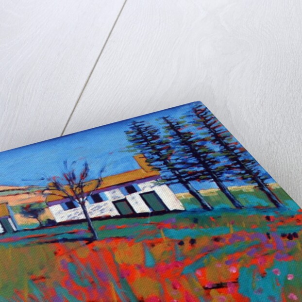 Fano, 2019 by Paul Powis