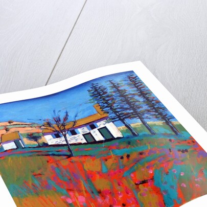 Fano, 2019 by Paul Powis