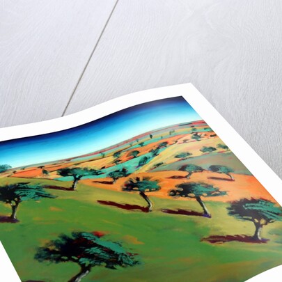 Ragged Stone Hill, 2019 by Paul Powis