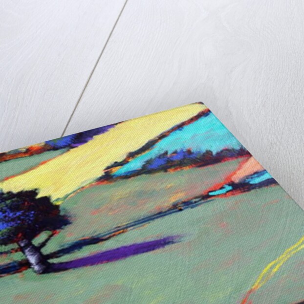 Burcome close up 2, 2019 by Paul Powis