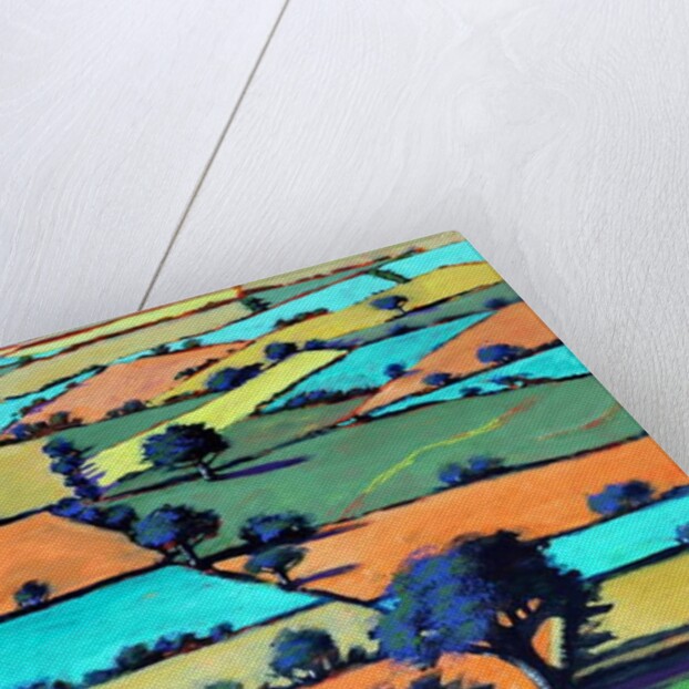 Burcome, 2019 by Paul Powis