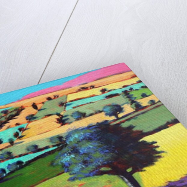 Coombe close up 4, 2019 by Paul Powis