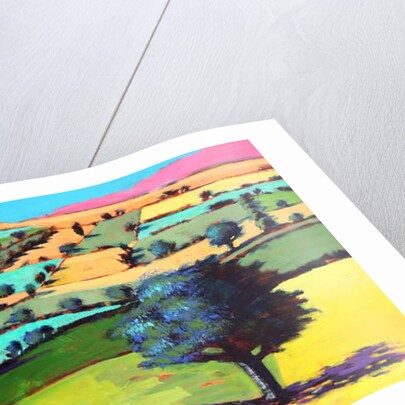 Coombe close up 4, 2019 by Paul Powis