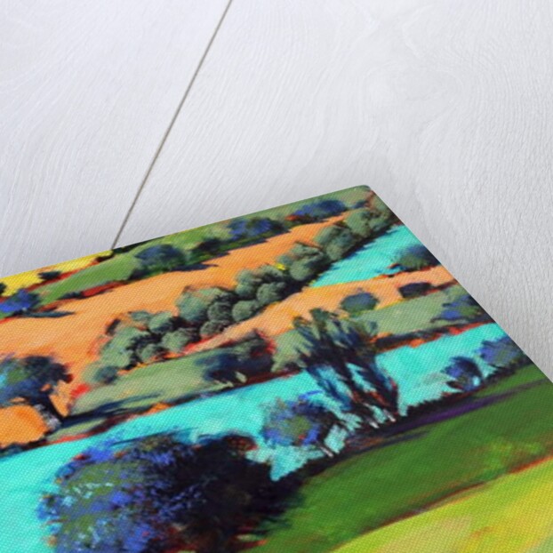 Coombe close up 2, 2019 by Paul Powis