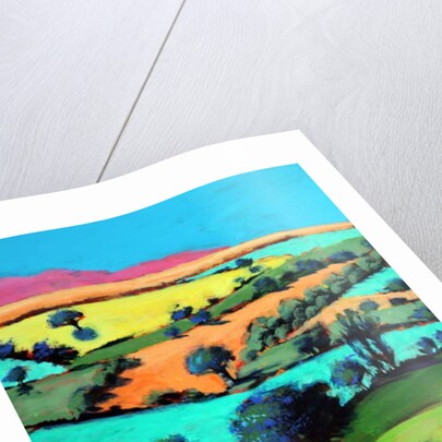 Coombe close up, 2019 by Paul Powis