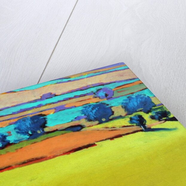 Cotswold Way close up 9, 2019 by Paul Powis