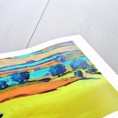 Cotswold Way close up 9, 2019 by Paul Powis