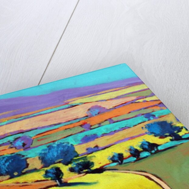 Cotswold Way close up 7, 2019 by Paul Powis