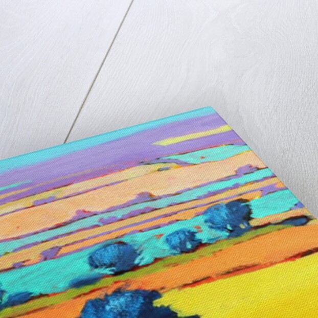 Cotswold Way close up 6, 2019 by Paul Powis