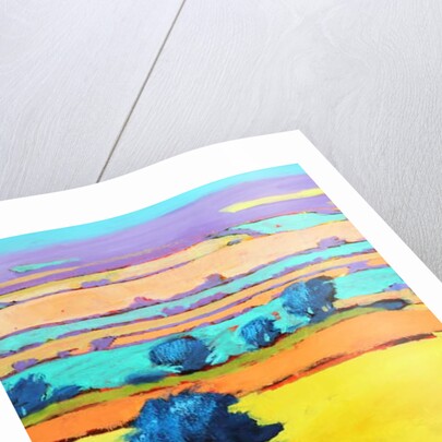 Cotswold Way close up 6, 2019 by Paul Powis