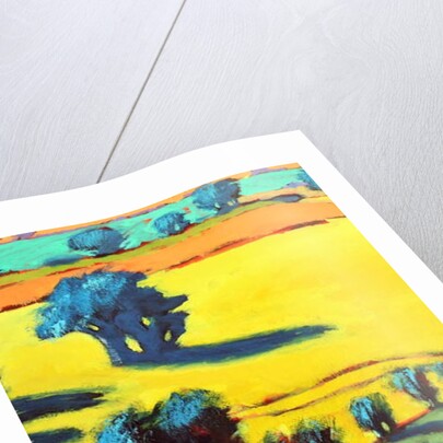 Cotswold Way close up 5, 2019 by Paul Powis