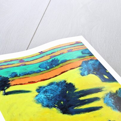 Cotswold Way close up 4, 2019 by Paul Powis