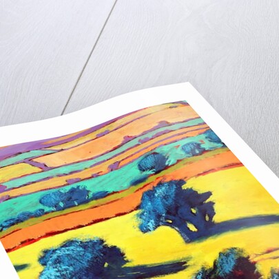 Cotswold Way close up 2, 2019 by Paul Powis