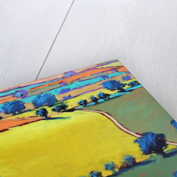 Cotswold Way close up, 2019 by Paul Powis